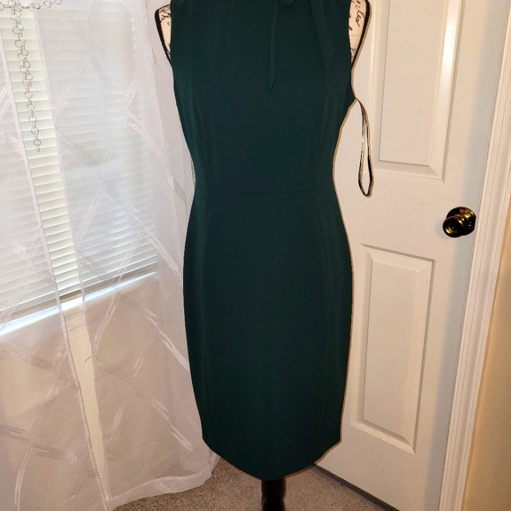 Calvin Klein Forest Green Dress